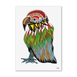 P-JN 116 &Oslash;rn Ops. DUO