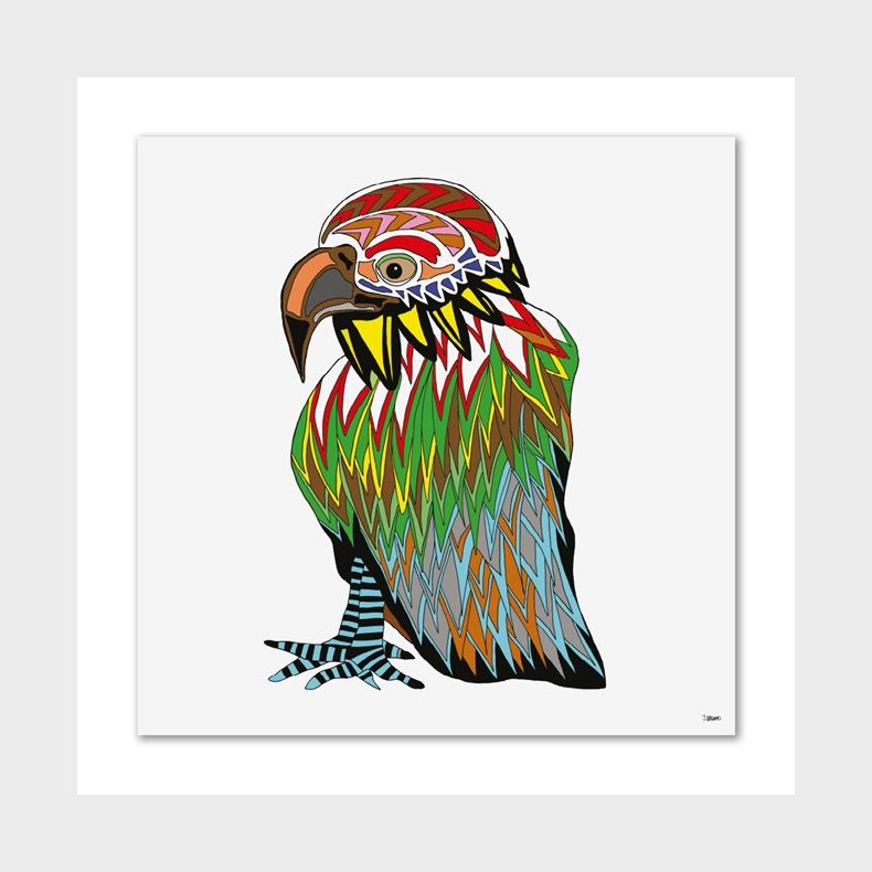 P-JN 116 &Oslash;rn Ops. DUO