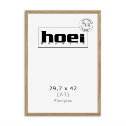 HOEI 200 MASSIV EG 29,7X42 - A3 PLEXI