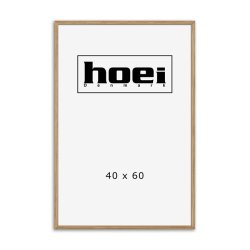 HOEI 200 MASSIV EG 40X60