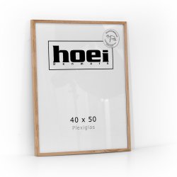 HOEI 200 MASSIV EG 40X50 PLEXI