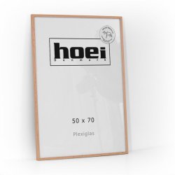 HOEI 200 MASSIV EG 50X70 PLEXI