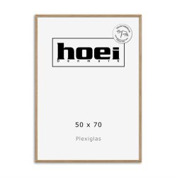 HOEI 200 MASSIV EG 50X70 PLEXI