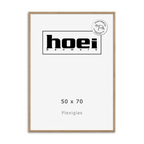 HOEI 200 MASSIV EG 50X70 PLEXI