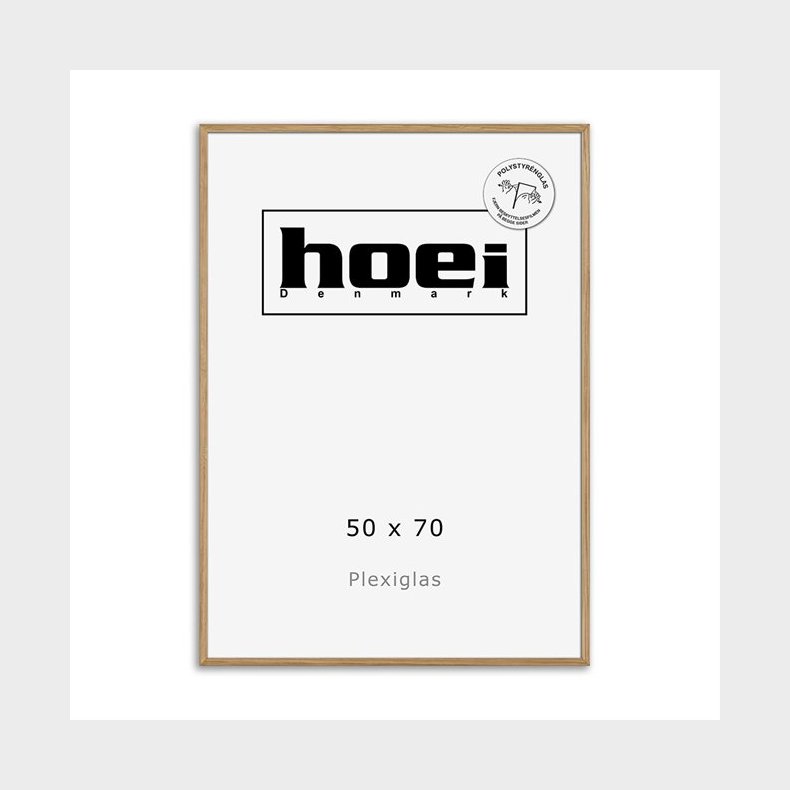 HOEI 200 MASSIV EG 50X70 PLEXI