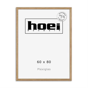 HOEI 300 MAS EG BRED 60X80 PLEXI