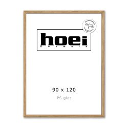 HOEI 300 MAS EG BRED 90X120 PS glas