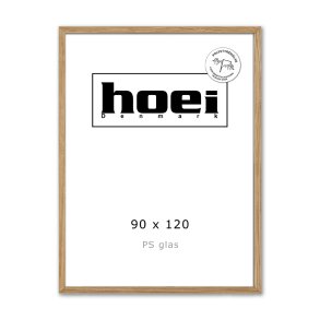 HOEI 300 MAS EG BRED 90X120 PS glas
