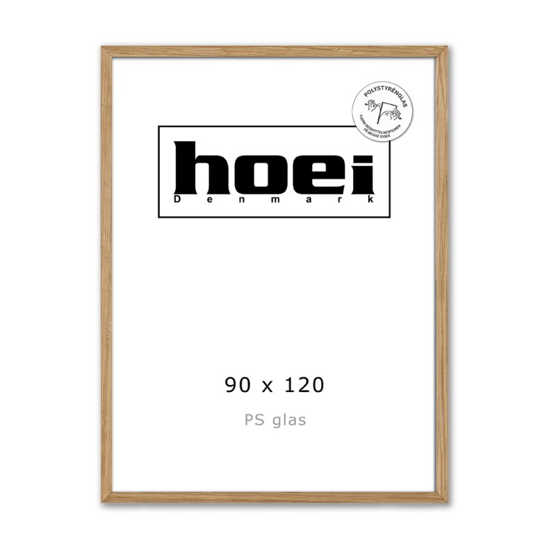 HOEI 300 MAS EG BRED 90X120 PS glas