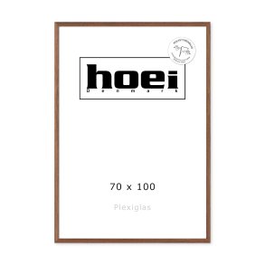 HOEI 301 MASSIV M�RK EG 70X100 PS glas