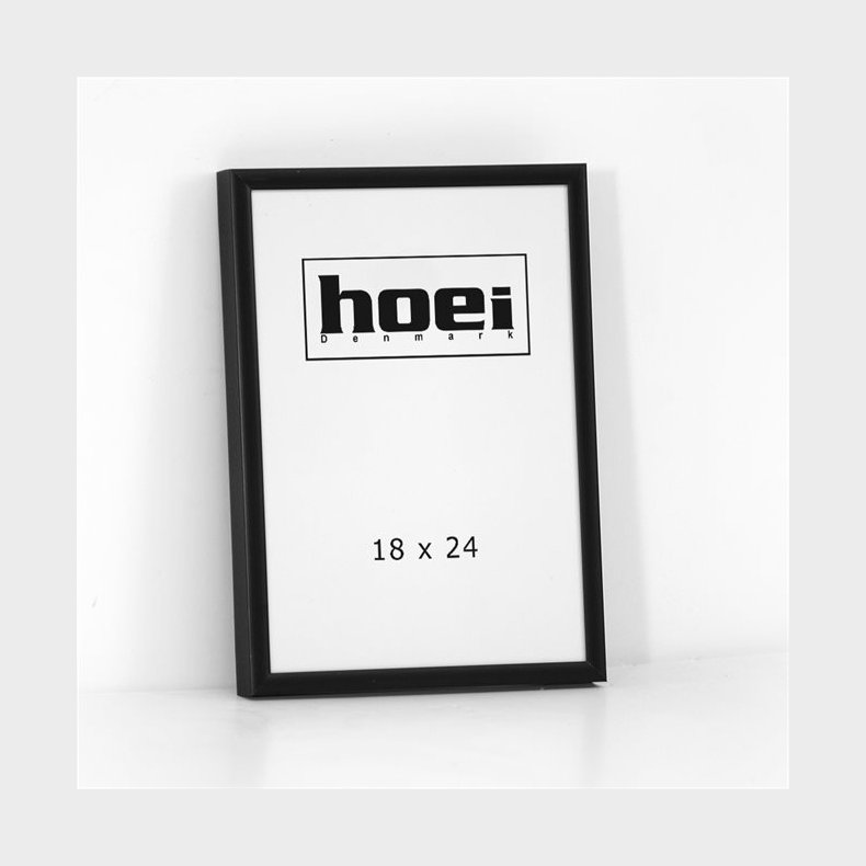 CADRE 672 SORT 18X24